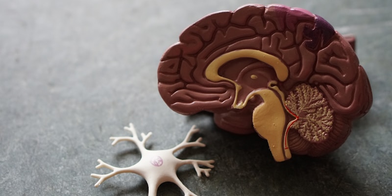 慢病管理新策略：科学控制提升生活质量